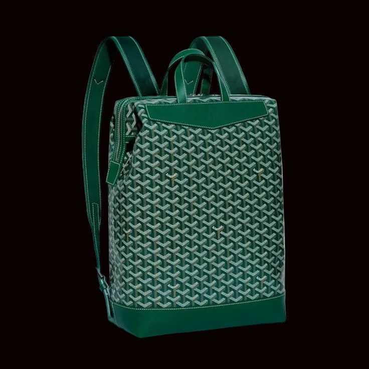 Goyard backpack Green