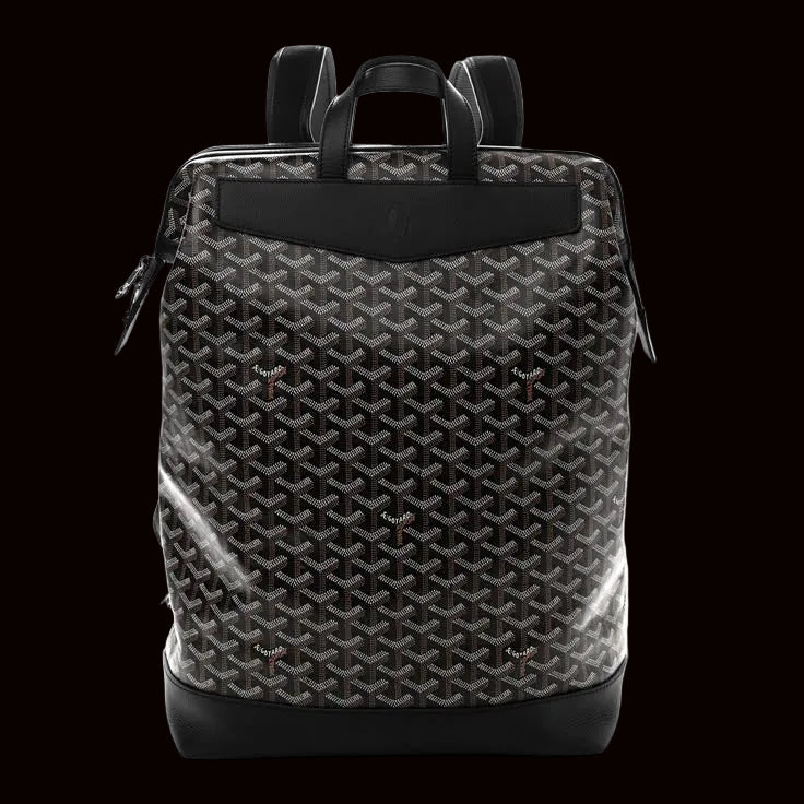 Goyard backpack Brown
