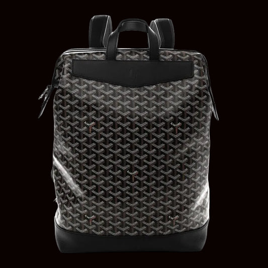 Goyard backpack Brown